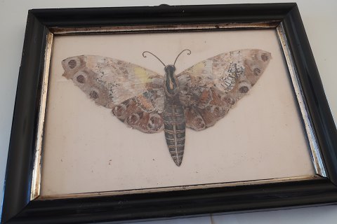 Gammel opsætning af Sommerfugl i original ramme
Lavet af sommerfugle-vinger
Ca. 21,5cm x 16cm
