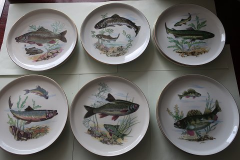 Vintage
Fisketallerkener / Sildetallerkener
1 sæt med 12 stk med 6 motiver = 2 motiver af hver
Diam: 17cm
Made in Germany - Colditz