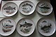 Vintage / RETRO
Tellern
1 set med 12 stk mit 6 Motiven = 2 von jeden 
Motiv 
Durchm: 17cm
Made in Germany - Colditz
In gutem Zustand